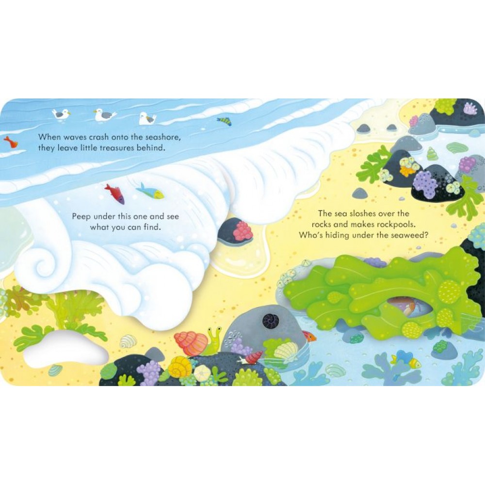 Peep Inside the seashore