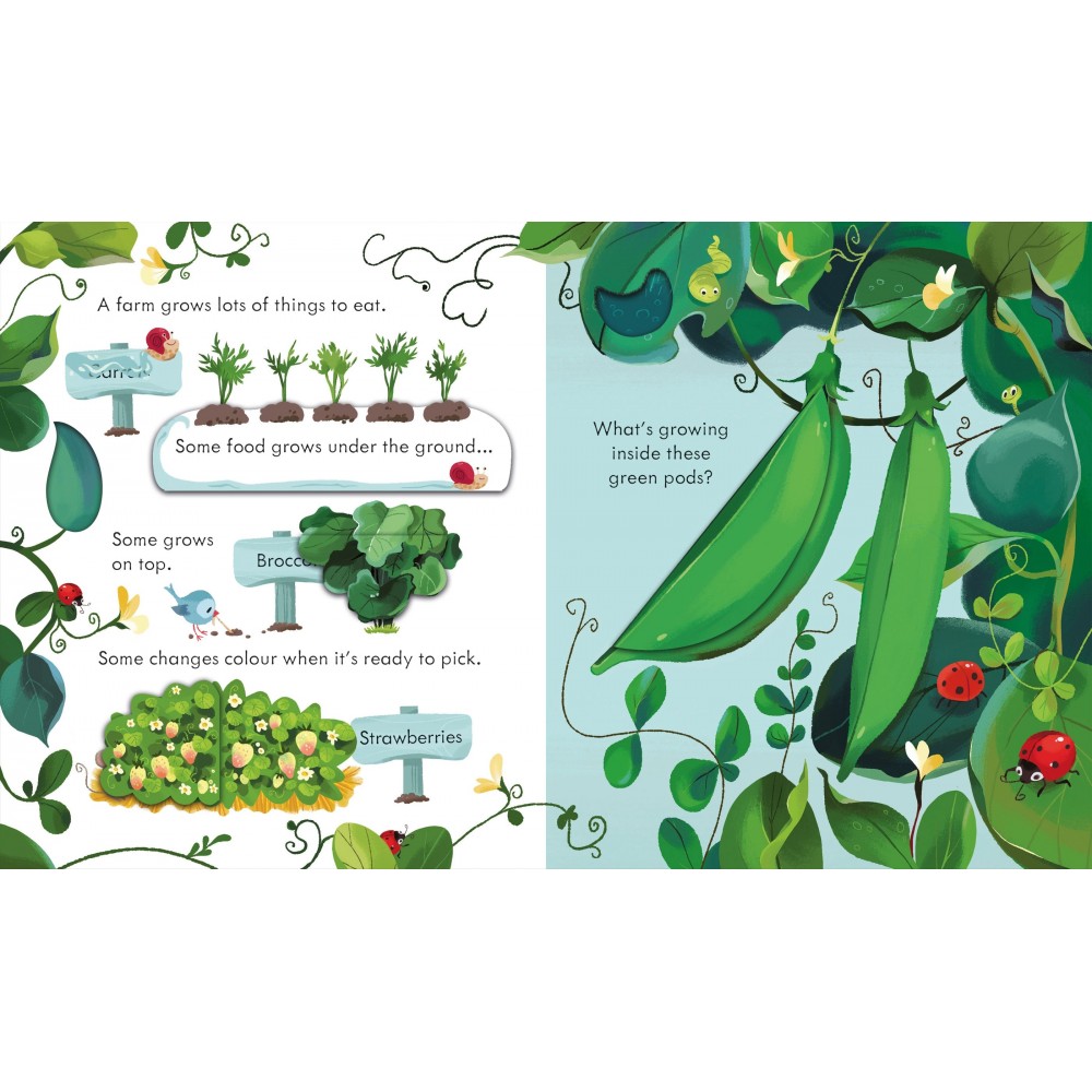 Peep Inside The Farm