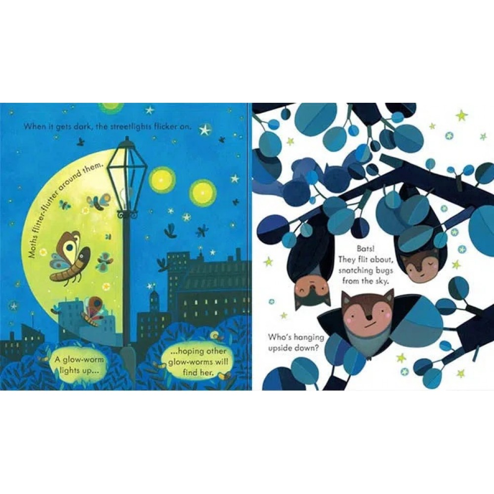 Peep Inside Night Time