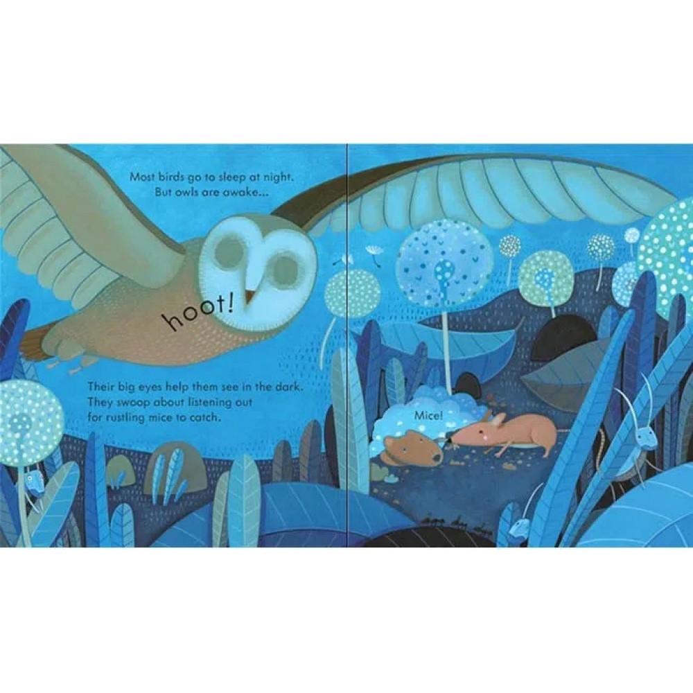 Peep Inside Night Time