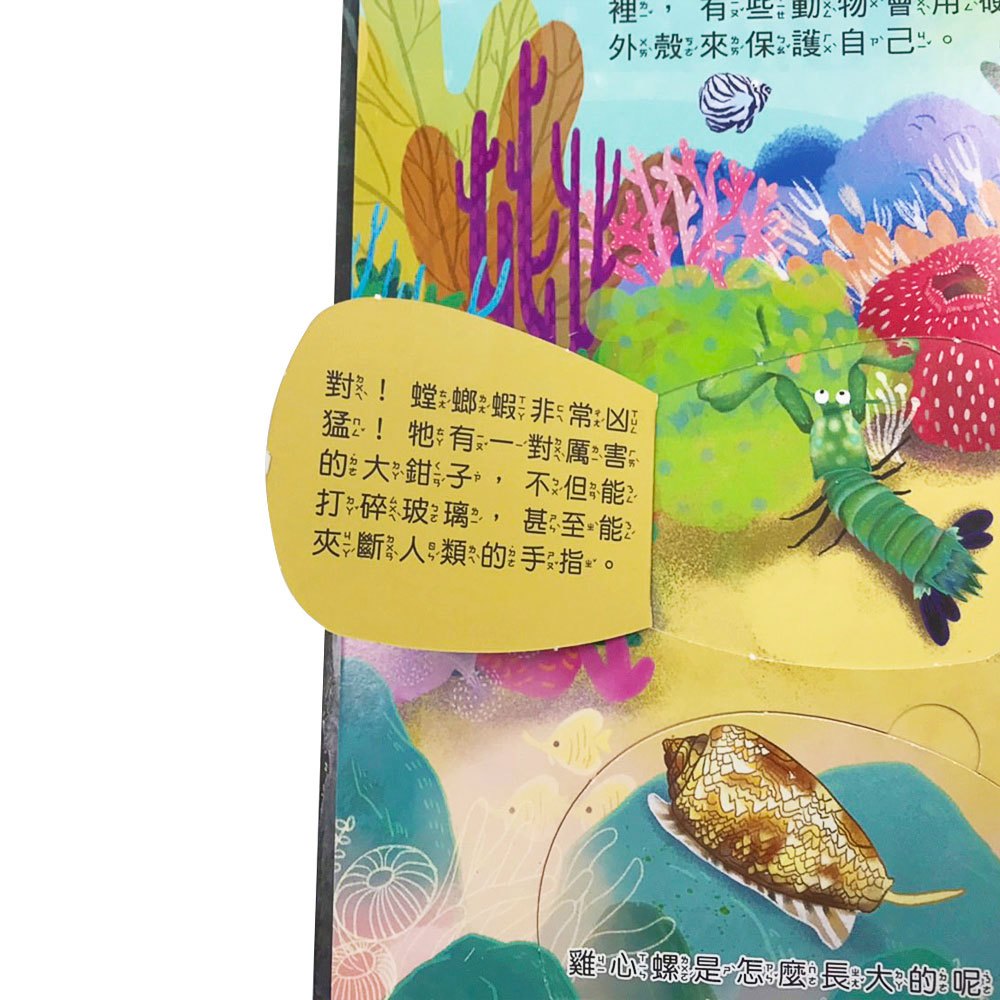 你問我答翻翻書：大海藏著小祕密？